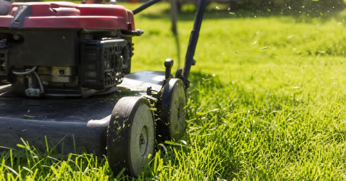 Why does mowing height matter so much for a healthy summer lawn?