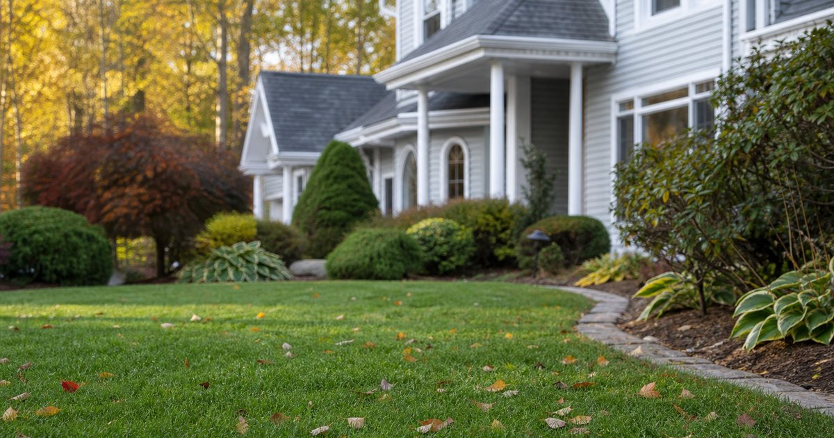 Which recurring lawn care schedule works best for cool season grasses?